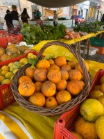 4º edição da Feirão Agroecológico