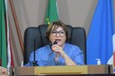 Atual situação do IPE é pautada na Câmara Municipal Atual situação do IPE é pautada na Câmara Municipal