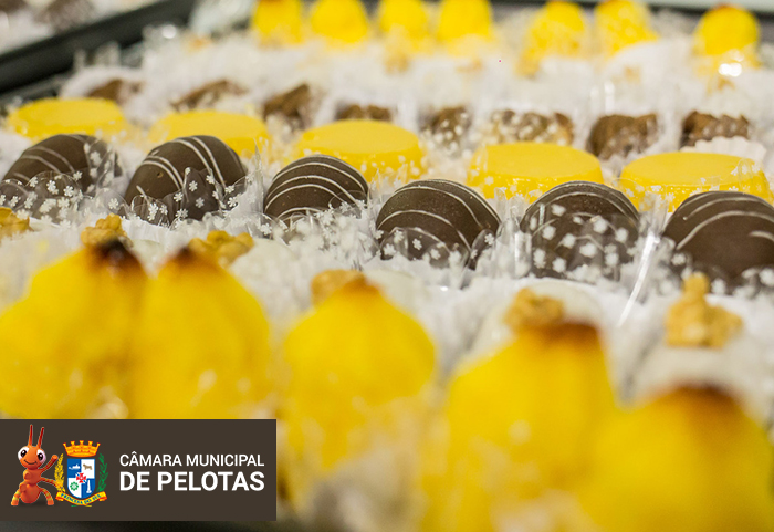 Câmara Municipal estará presente na Fenadoce 2023