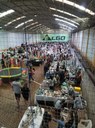 Mulheres empreendedoras de Pelotas discutem apoio e visibilidade Encontro será em Audiência Pública na Câmara Municipal nesta quinta Mulheres empreendedoras de Pelotas discutem apoio e visibilidade Encontro será em Audiência Pública na Câmara Municipal nesta quinta