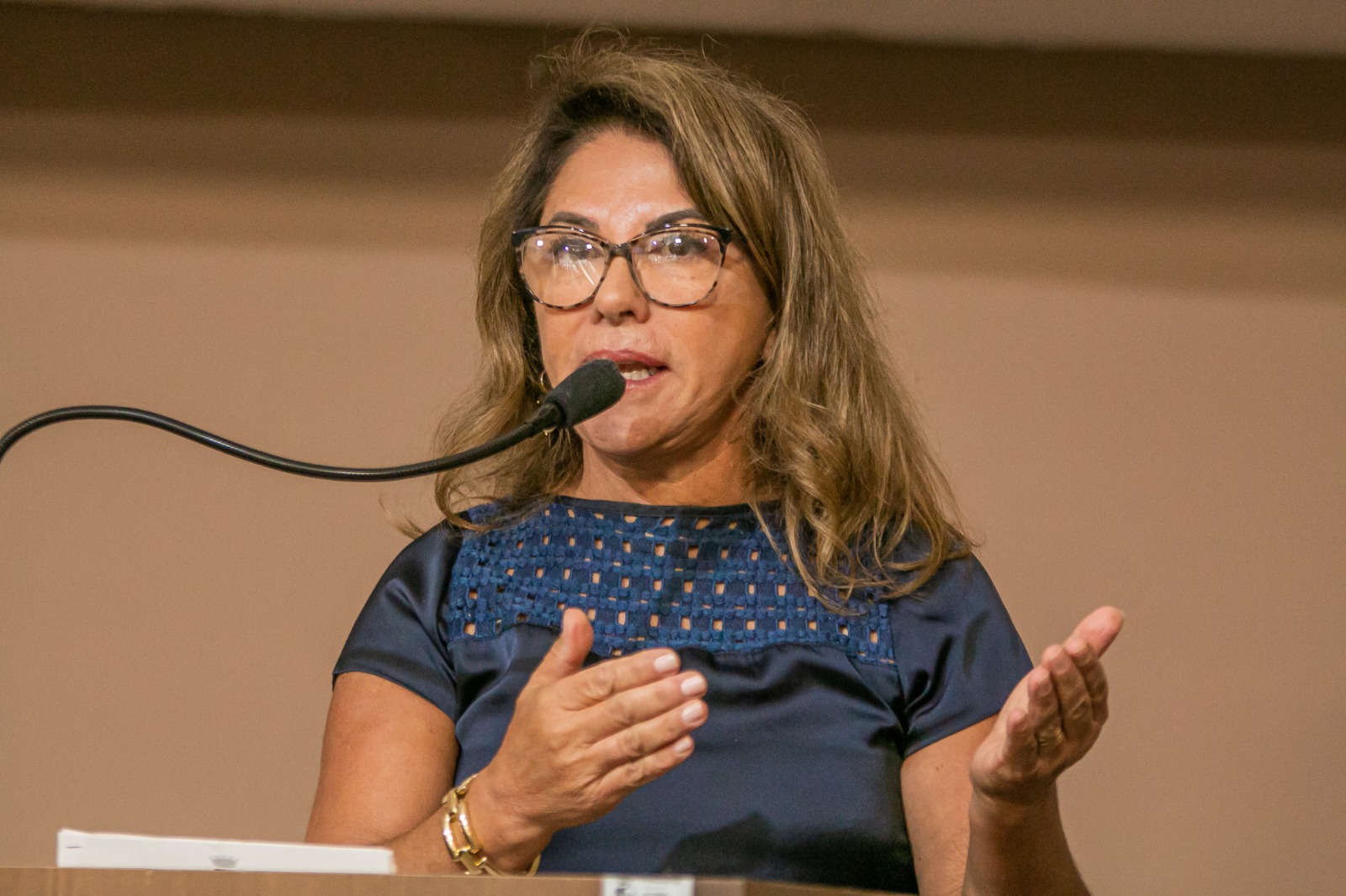 Nascimento e acompanhamento de crianças com Síndrome de Down é pauta no Legislativo