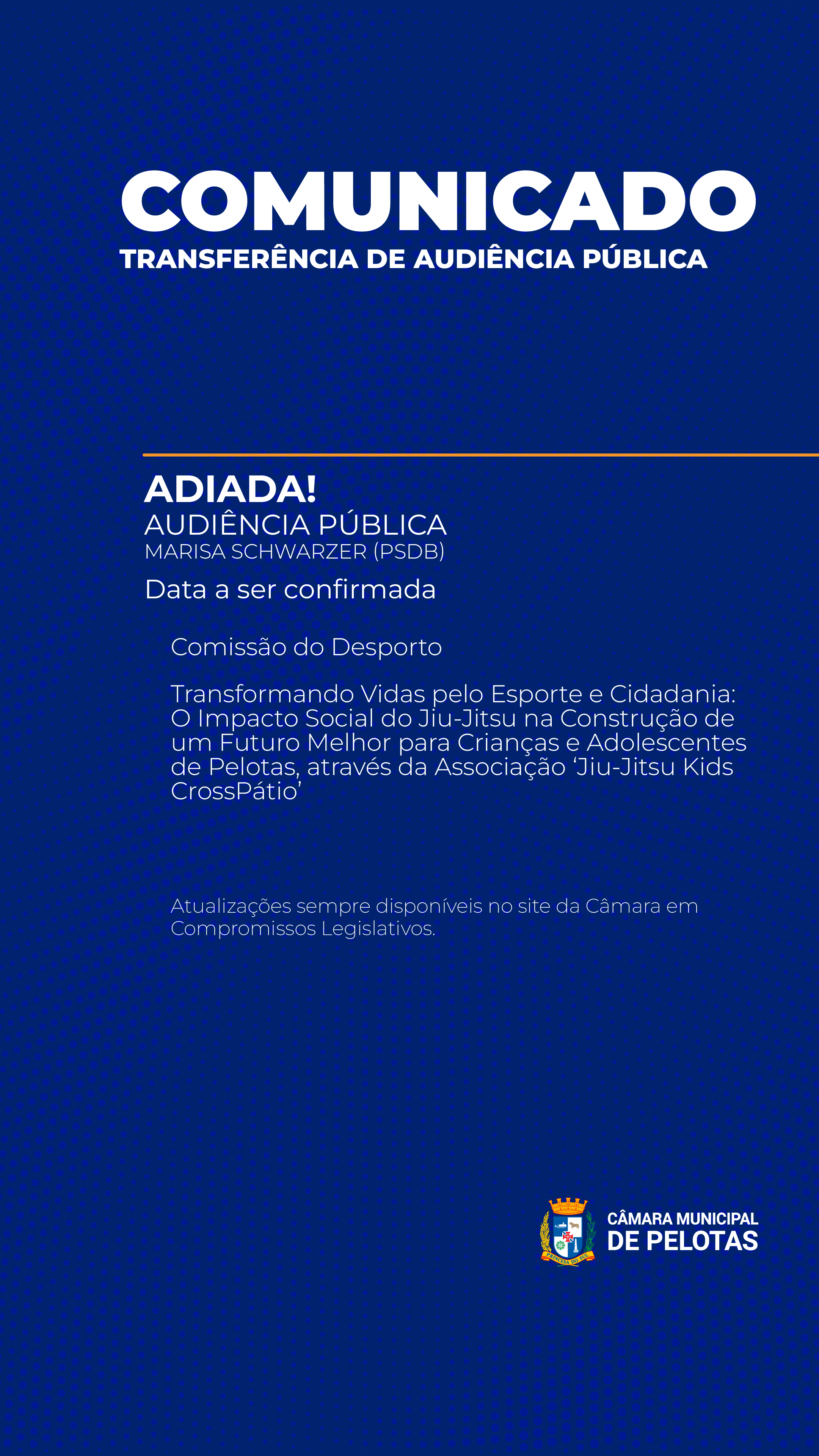 Transferência - Audiência 09-12 (M. Schwarzer).png