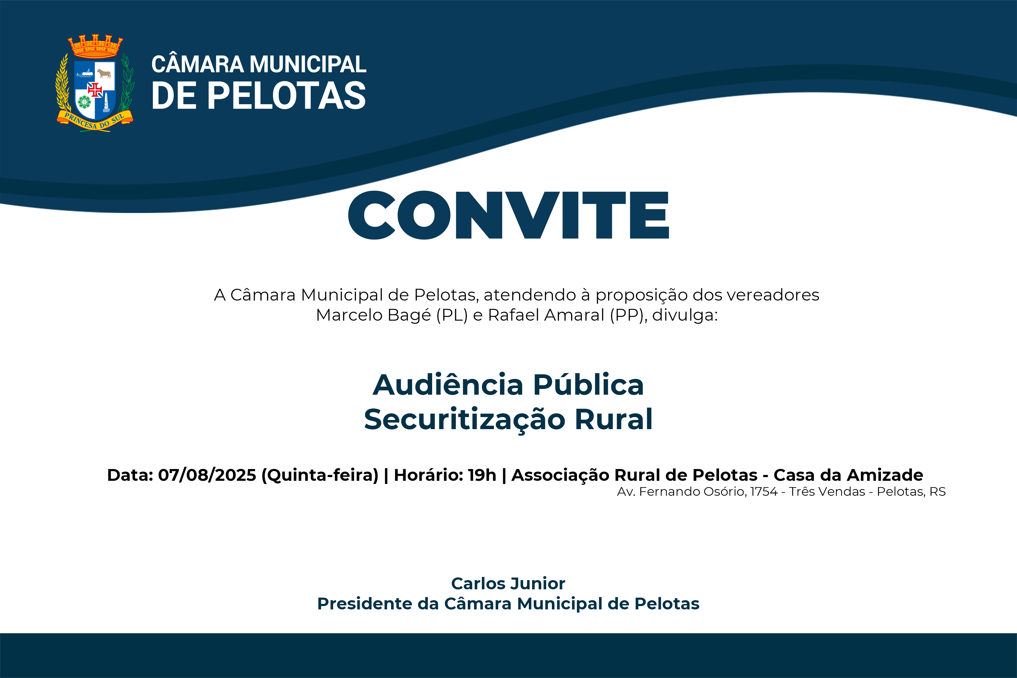 07_08 - Audiência Pública.png