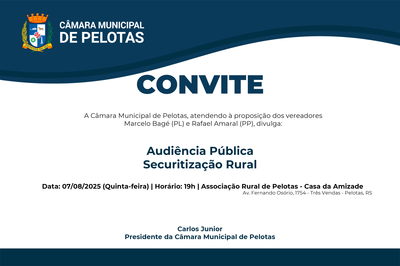 07_08 - Audiência Pública.png