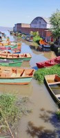 Vereador Carlos Junior encaminha pedido de limpeza do Canal do Junquinho